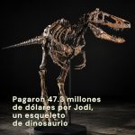 🦖 Se llama Jodi, vivió hace unos 67 millones de años y su esqueleto ac…